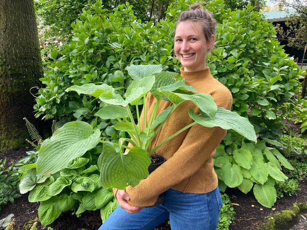 3B7E5BF6-20CE-4C92-B96D-BCA0F40B704F_1_105_c